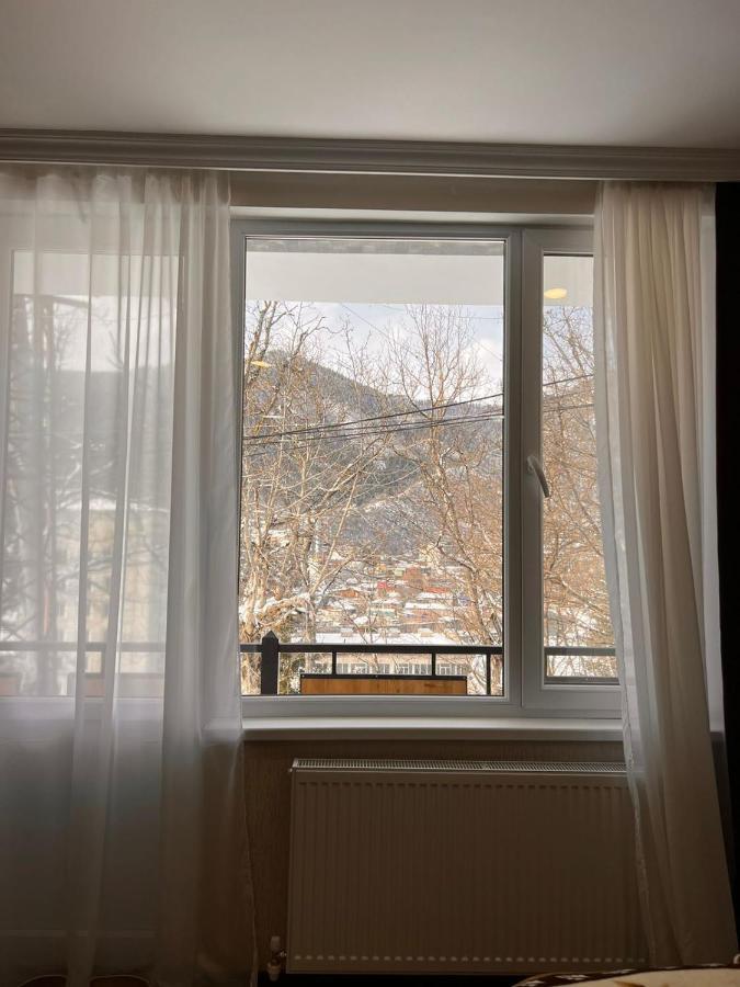 Woodland Borjomi Hotel Kültér fotó