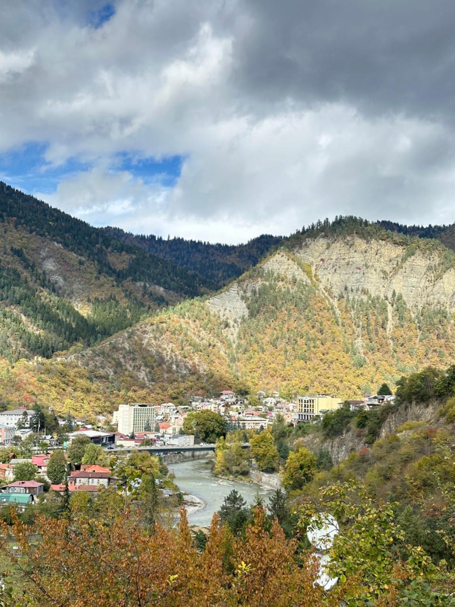 Woodland Borjomi Hotel Kültér fotó