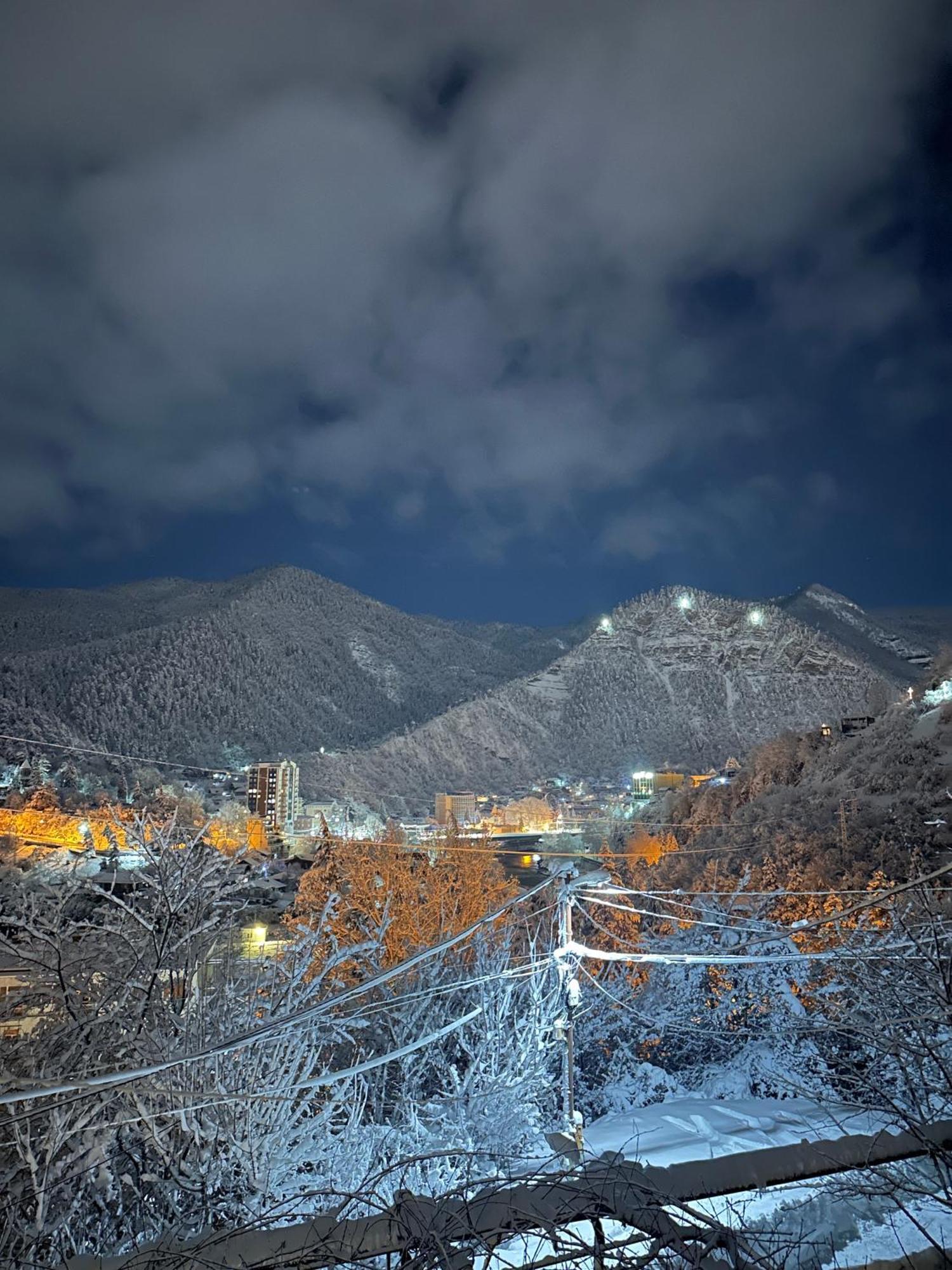 Woodland Borjomi Hotel Kültér fotó